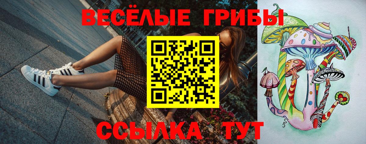 Псилоцибиновые грибы Cubensis  цены   Пугачёв  Галлюциногенные грибы Cubensis  Вход с VPN 