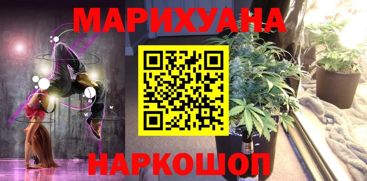 Канабис сатива Пугачёв